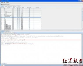 Burp Suite工具使用之二 Intruder模塊在網(wǎng)絡(luò)與信息安全軟件開發(fā)中的應(yīng)用